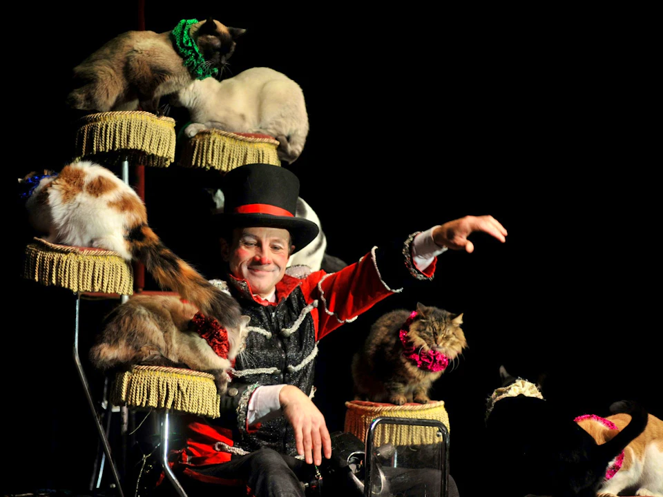 V Theatre Las Vegas – Popovich Comedy Pet Theatre Ticket Ticket